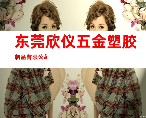东莞欣仪五金塑胶制品有限公司