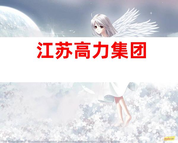 江苏高力集团