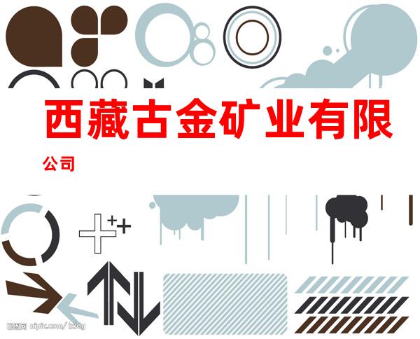 西藏古金矿业有限公司