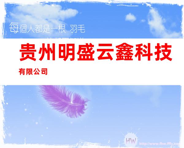 贵州明盛云鑫科技有限公司